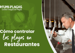 Fumigación de Plagas en Restaurantes