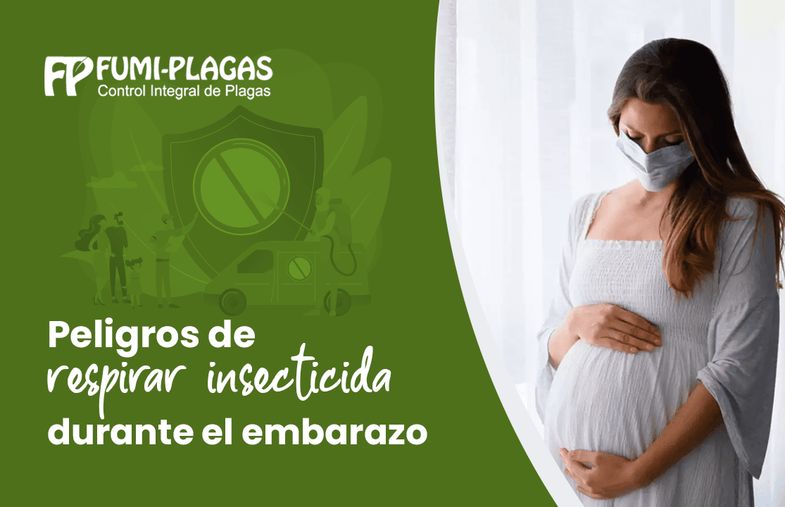 Peligros de Respirar insecticida durante el embarazo.