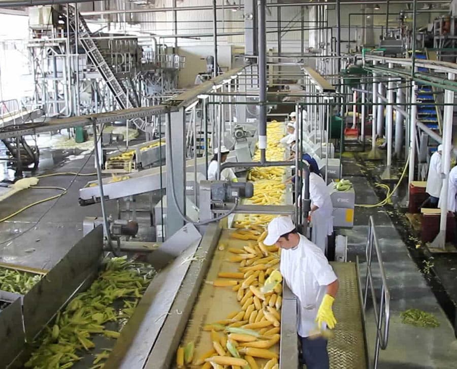fumigaciones industria alimenticia