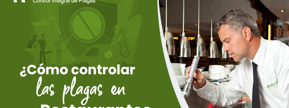 Cómo controlar las plagas en Restaurantes