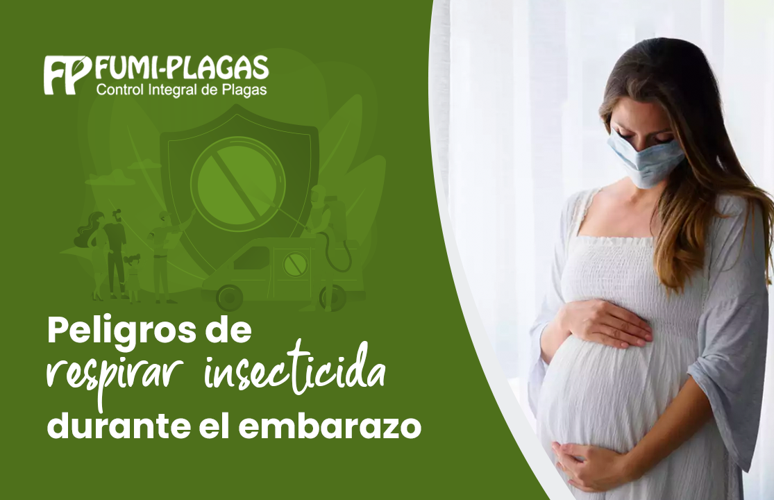 Peligros de respirar insecticida durante el embarazo