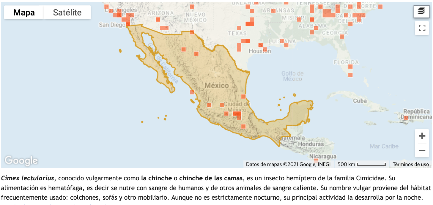 mapa de ubicación de chinches en México