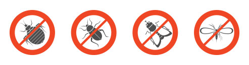 control de plagas e insectos