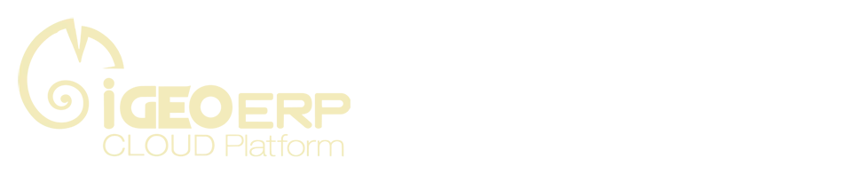 Sistema iGeo ERP