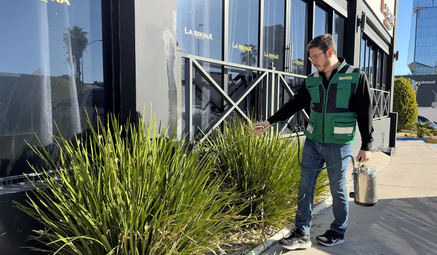 fumigaciones de Restaurantes y bares