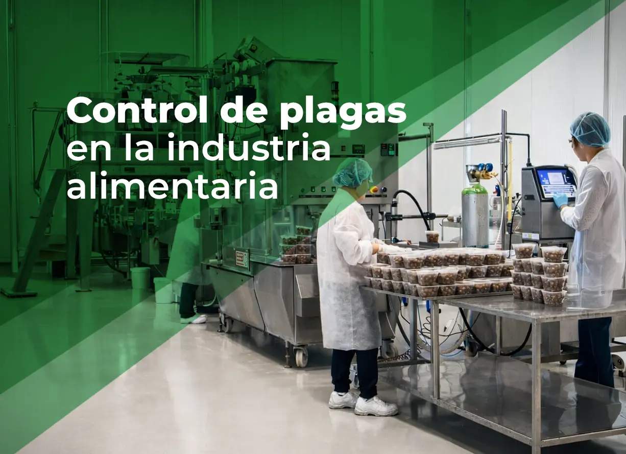 control de plagas en la industria alimentaria control de plagas en la industria alimentaria