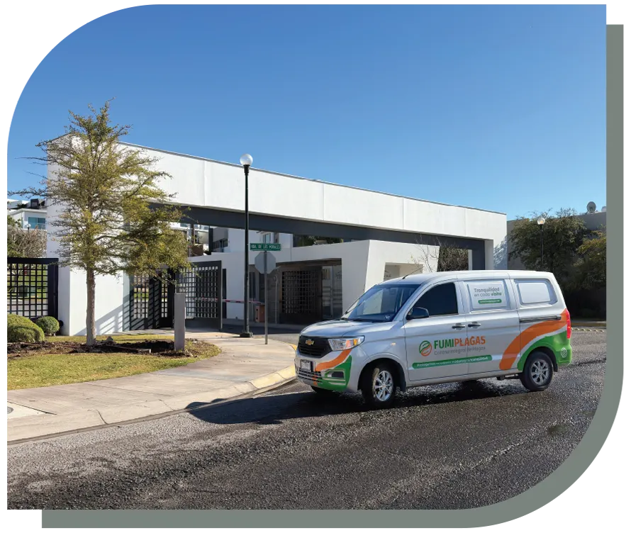 residencial fumigacion